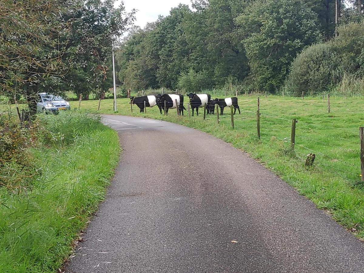 Woudenberg Elferink Hoeve מראה חיצוני תמונה